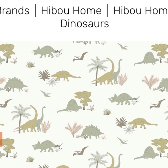 Hibou Home Dinosaur wall paper non woven wall paper decoration maximalist - Picture 1 of 7